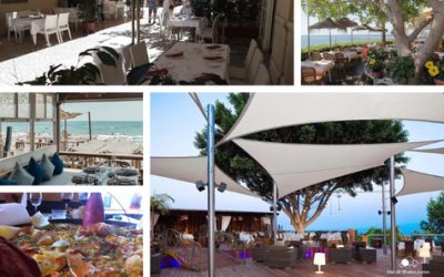 Our Favourite Restaurants on the Costa Del Sol