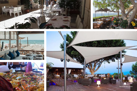 Our Favourite Restaurants on the Costa Del Sol