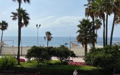 Estepona a Favourite for Buying Property on the Costa del Sol