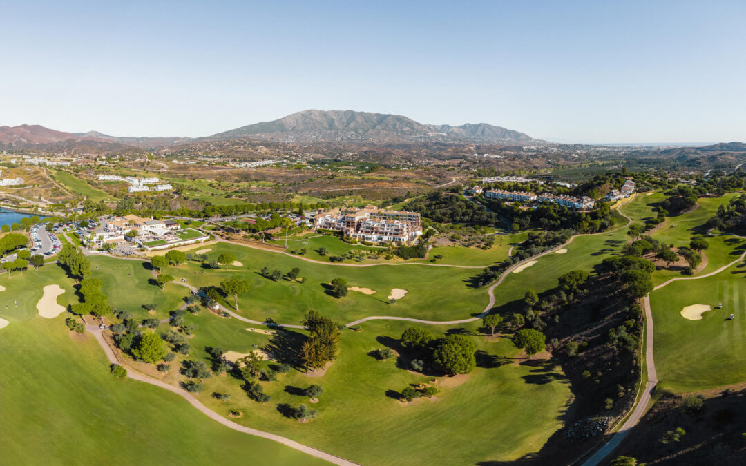 8 Reasons Global Executives Are Choosing Marbella as Their Home Base